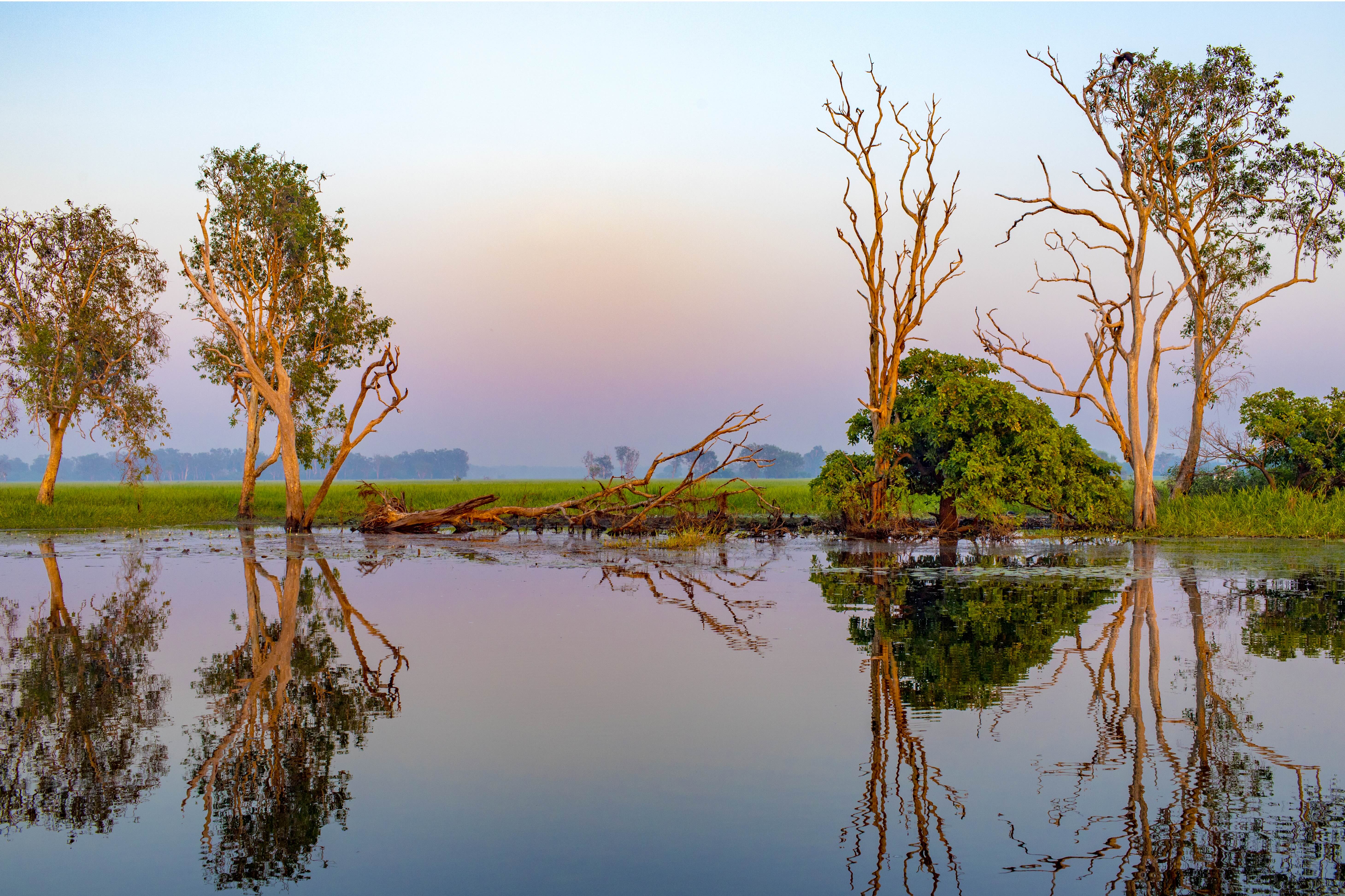 Kakadu floodplain at dawn — pink sky and perfect water reflections