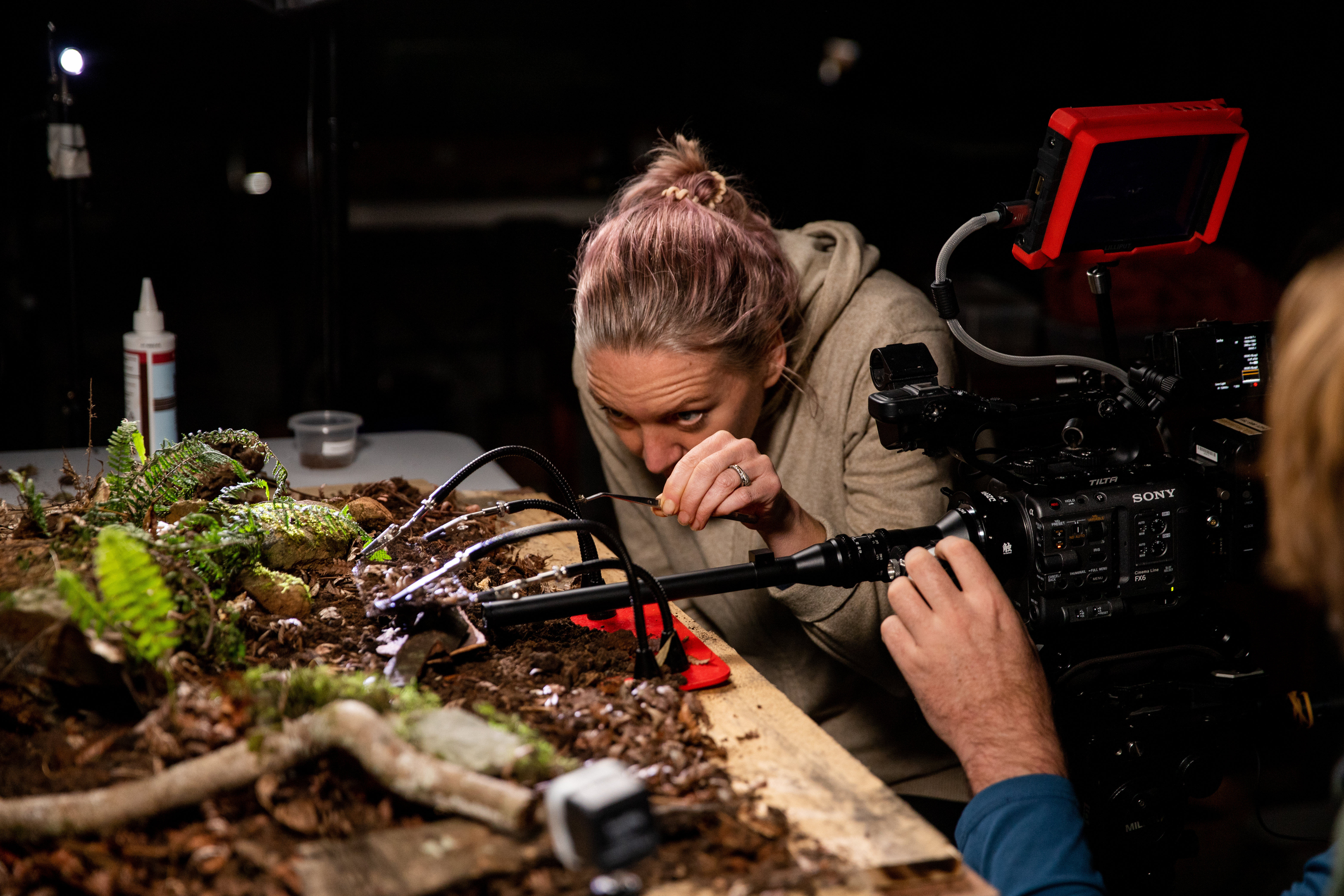 Macro studio production in progress — forest floor set with Sony FX6